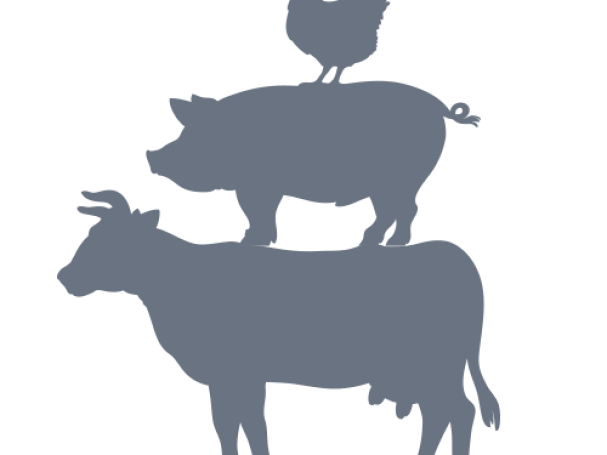 animal farm