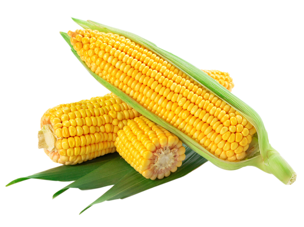corn