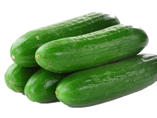cucumber