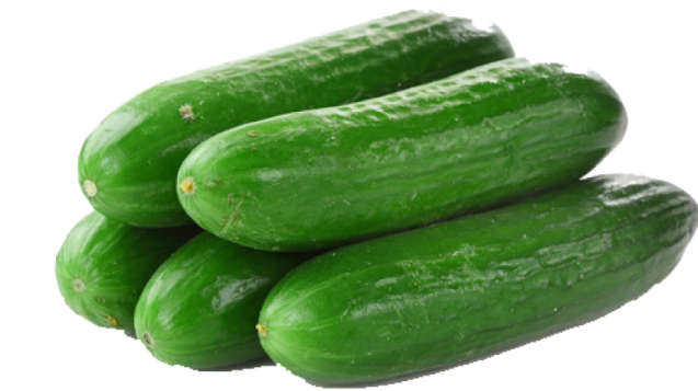 cucumber