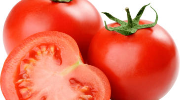 tomatoes