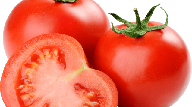 tomatoes