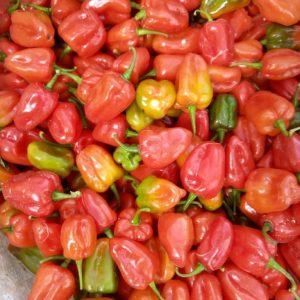 habanero